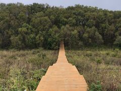 -白草畔自然风景区