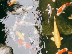-贵阳高新惠诚食品有限公司