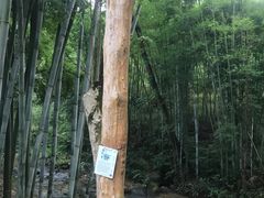 -世间香境·七溪地