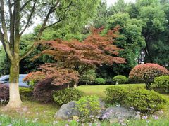 -铁山坪森林公园