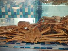 -碗中海·蒸汽海鲜·桑拿鸡(岭南天地店)