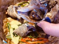 -千岛蚝高压锅生蚝·人参火锅(白云万达店)