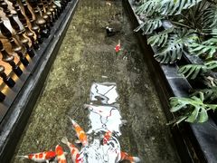 -福禧酒窖·中餐厅 (万柳店)