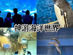 -威海华夏城景区