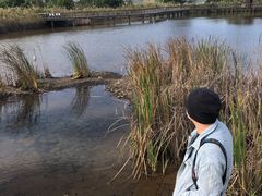 -坝光海滩