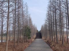 -南湖湿地公园