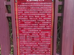 -习家池