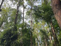 -南岗山公园