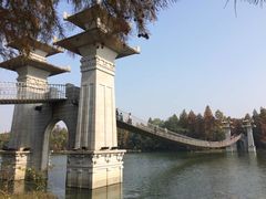 -东湖落雁景区