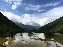 -黄龙山原始森林景区