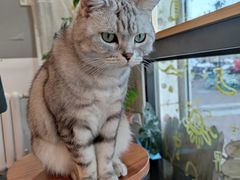 -平行世界·猫咖(首经贸店)