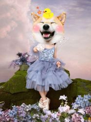 -海马体家庭照相馆(杭州萧山万象汇店)