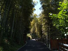 -天目湖御水温泉·度假酒店