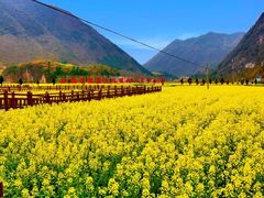 -龙湾潭国家森林公园
