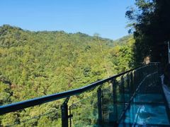 -九龙江国家森林公园