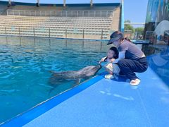 -北戴河圣蓝海洋公园