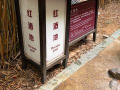 -森波拉火山温泉