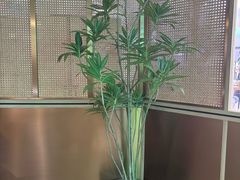 -望蓉城·古法酸菜鱼·川小馆(金桥国际店)