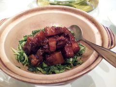 红烧肉-西郊5号·Maggie 5