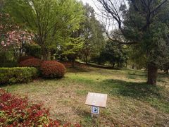 -句容茅山景区