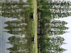 -前小桔亲子创意农场·草莓采摘·露营烧烤