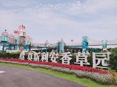 -季高兔窝窝亲子园(上海薰衣草公园店)