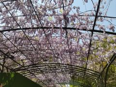 -渤公岛生态公园