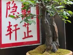 门面-觀芷隐轩