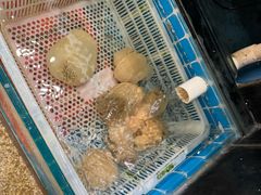 -健眺小海鲜(临海后山店)