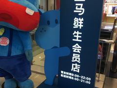 -盒马鲜生(大成店)