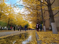 -辽宁大学(崇山校区)