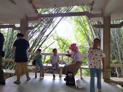 -大雁山风景区