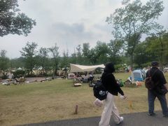 -佛手湖郊野公园