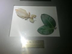 -上海昆虫博物馆