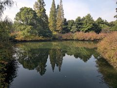 -上海滨江森林公园