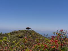 -大围山国家森林公园