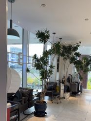 -悦SALON