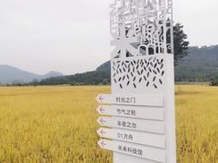 -艾米稻香小镇