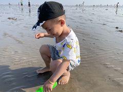 -奉贤海滩