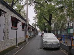 -赵府街副食店