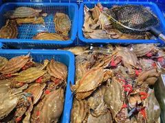 -三个渔夫·蒸汽海鲜(小白楼店)