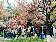 -西安青龙寺遗址景区