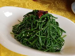炝拌草原沙葱-德乐海蒙餐