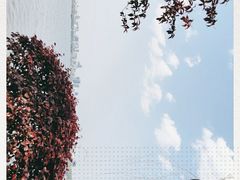 -浙江西子宾馆·牡丹厅