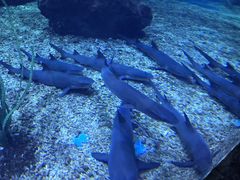 -多彩贵州城极地海洋世界