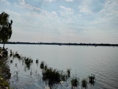 -丁香湖公园
