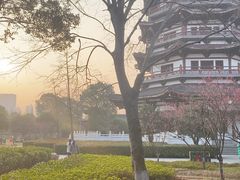-洋湖国家湿地公园