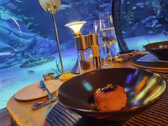 -沈阳海洋探索中心