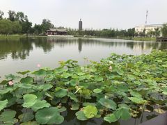 -西海子公园