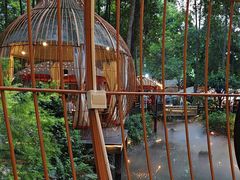 -二荆条·蜀鲜汇城市森林火锅